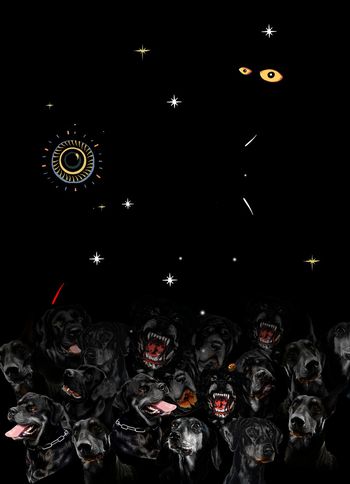 星空印花华亿平台图片