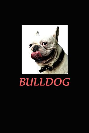 几何男装印花华亿平台图片