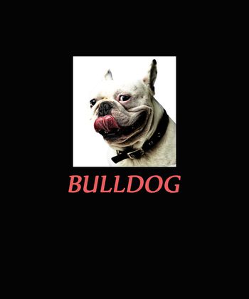 几何男装印花华亿平台图片