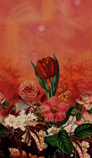 985134-tzz0389分层