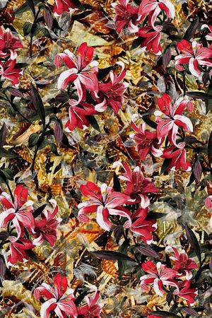 民族风印花华亿平台图片