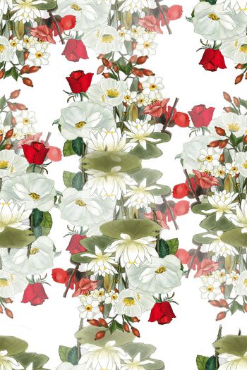 987622-素雅花卉2