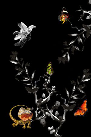 蜥蜴印花华亿平台图片