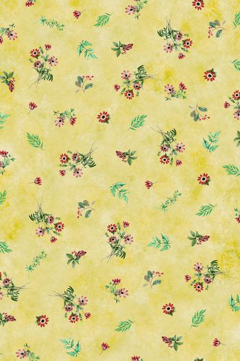 987891-walanwalanXBC