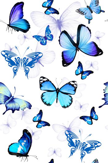 蝴蝶印花华亿平台图片