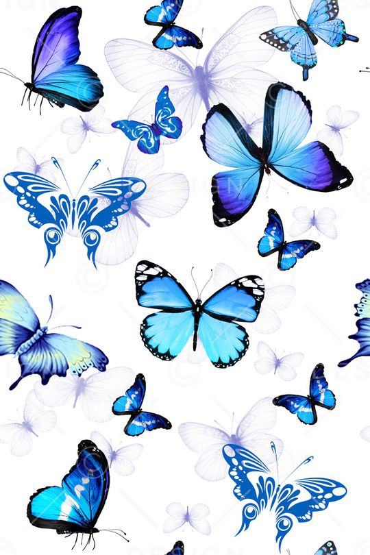 蝴蝶印花华亿平台图片