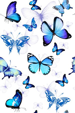 蝴蝶印花华亿平台图片