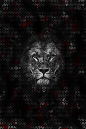 男装印花华亿平台图片