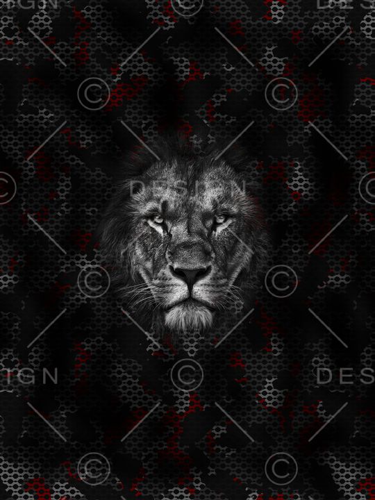 男装印花华亿平台图片