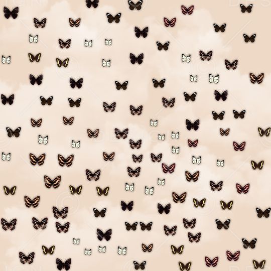 昆虫印花华亿平台图片