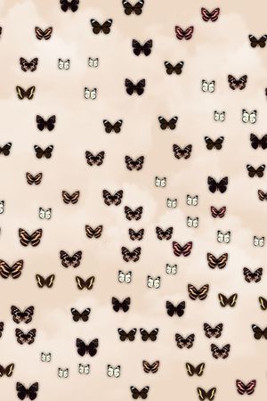 昆虫印花华亿平台图片