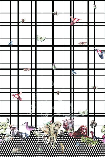 动物印花华亿平台图片