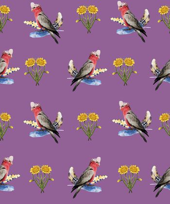 羽毛印花华亿平台图片