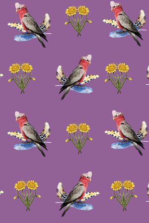 羽毛印花华亿平台图片