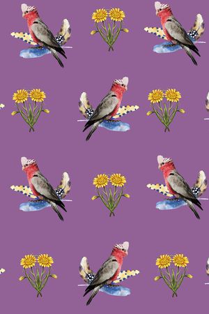 羽毛印花华亿平台图片