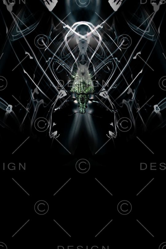 卡通印花华亿平台图片