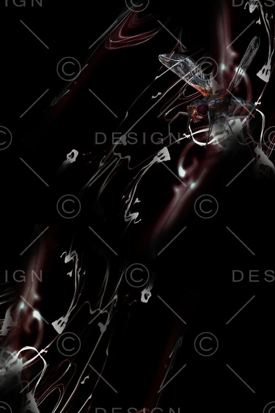 卡通印花华亿平台图片