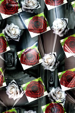 玫瑰花印花华亿平台图片