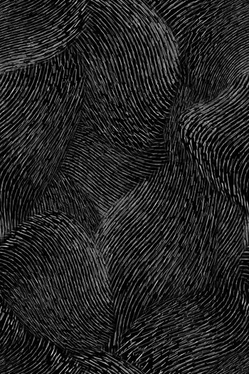 991314-FLZ17-12-53....