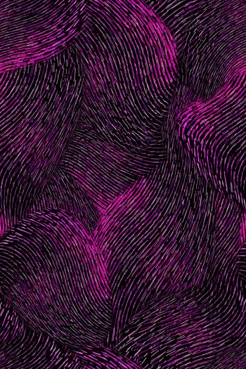 991315-FLZ17-12-53...