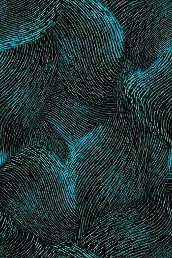 991316-FLZ17-12-53..