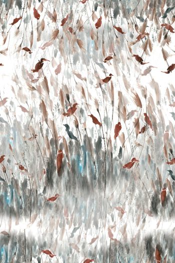 991555-芦苇中栖息的鸟