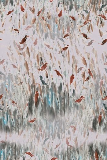 991558-芦苇中栖息的鸟1