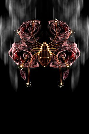 趣味印花华亿平台图片