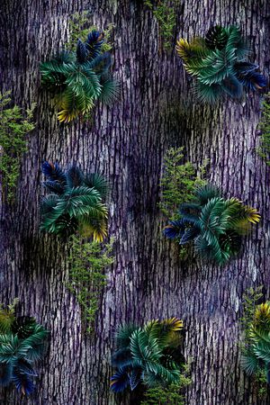 男装印花华亿平台图片