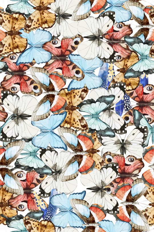 羽毛印花华亿平台图片