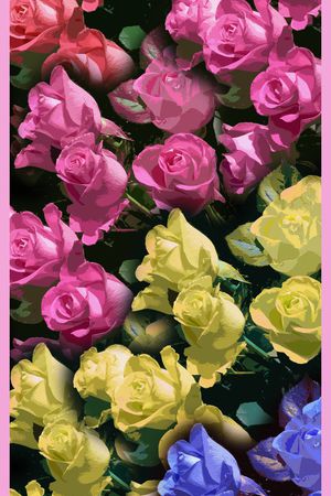 长巾印花华亿平台图片