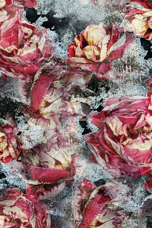 朦胧花卉印花华亿平台图片