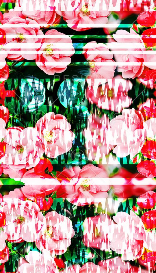 照片花卉印花华亿平台图片