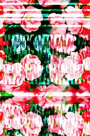 照片花卉印花华亿平台图片