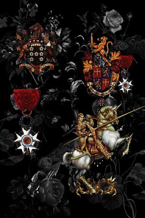 马印花华亿平台图片