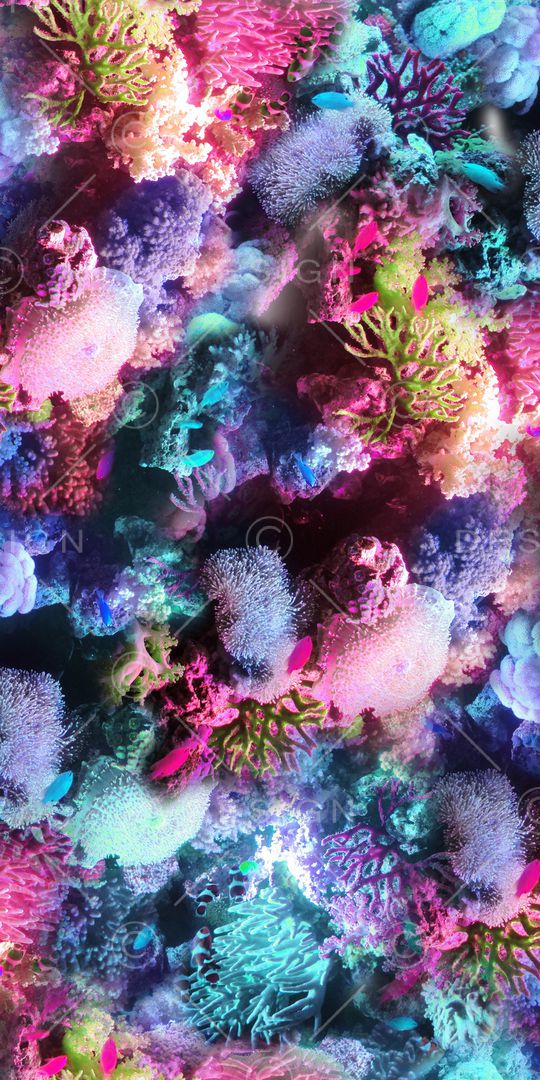 珊瑚印花华亿平台图片