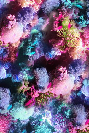 珊瑚印花华亿平台图片