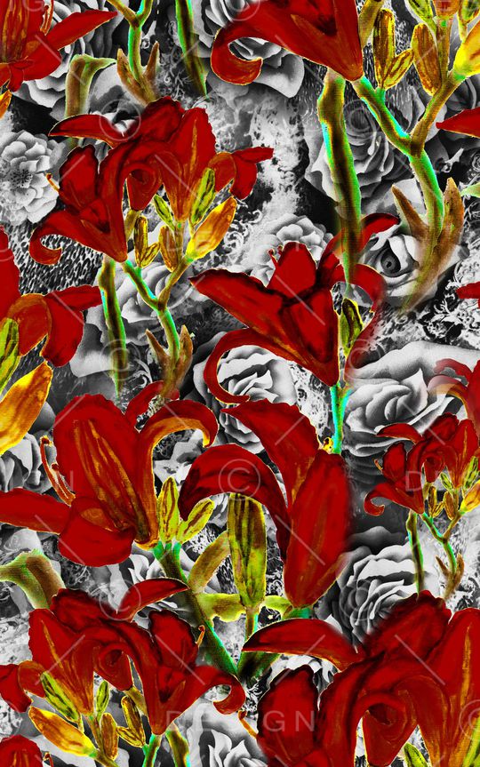 数码华亿平台印花华亿平台图片