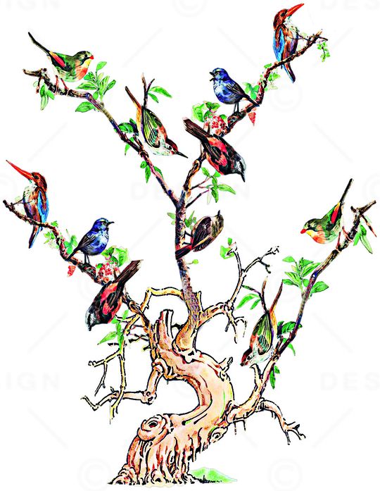 数码华亿平台印花华亿平台图片