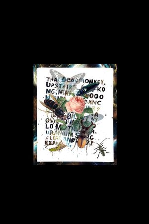 昆虫印花华亿平台图片