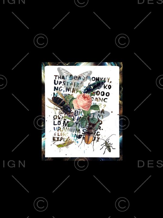 昆虫印花华亿平台图片