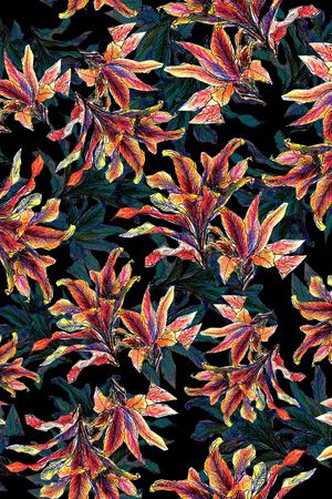 数码华亿平台印花华亿平台图片