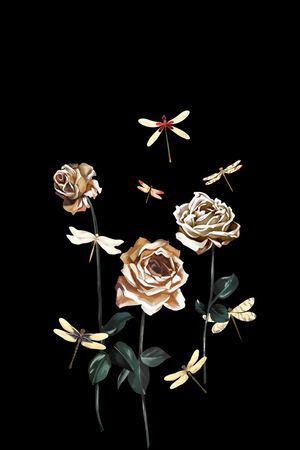 DOLCE GABBANA印花华亿平台图片