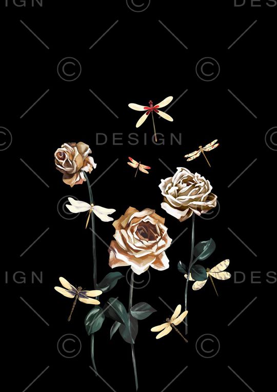 DOLCE GABBANA印花华亿平台图片