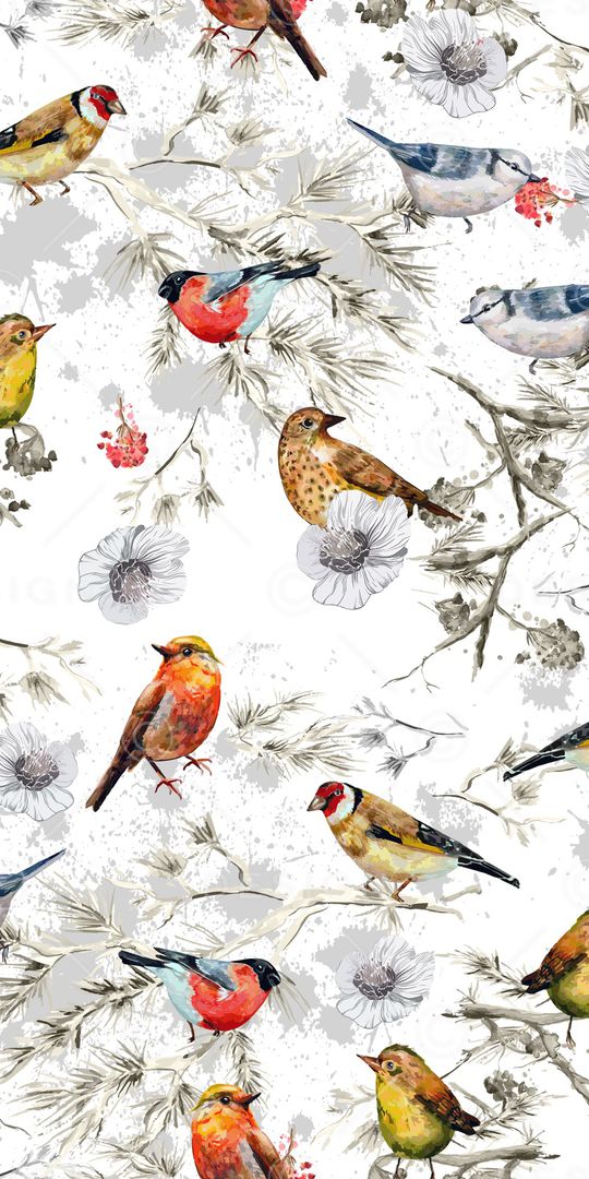 鸟印花华亿平台图片