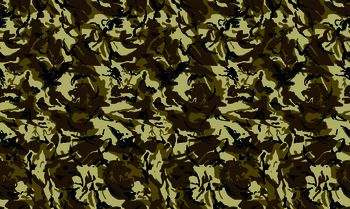 黑白条纹印花华亿平台图片