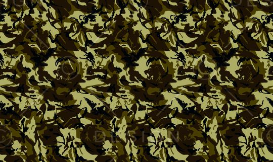 黑白条纹印花华亿平台图片