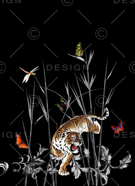 DOLCE GABBANA印花华亿平台图片