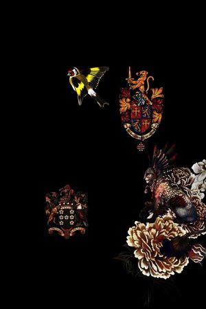 鸟印花华亿平台图片