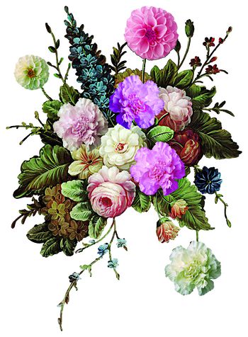 鲜花印花华亿平台图片